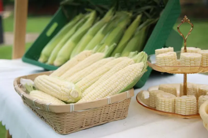 White sweet corn displayed in baskets
